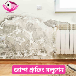 ড্যাম্প প্রুফিং সল্যুশন (Damp Proofing Solution)