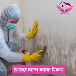 ইনডোর ড্যাম্প সমস্যা নিরসন (Indoor Damp Treatment Services)