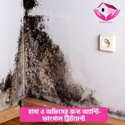 বাসা ও অফিসের জন্য অ্যান্টি-ফাংগাল ট্রিটমেন্ট (Anti-Fungal Damp Treatment for Home &amp; Office)