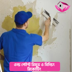 ওল্ড পেইন্ট রিমুভ ও বিল্ডিং রিকোটিং (Old Paint Removal &amp;amp; Recoating